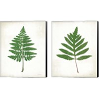 Framed Chalkboard Fern Green 2 Piece Canvas Print Set