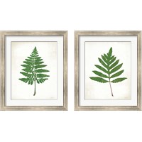 Framed 'Chalkboard Fern Green 2 Piece Framed Art Print Set' border=