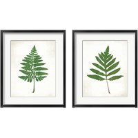 Framed Chalkboard Fern Green 2 Piece Framed Art Print Set