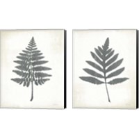 Framed Chalkboard Fern  2 Piece Canvas Print Set