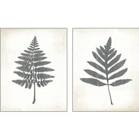 Framed 'Chalkboard Fern  2 Piece Art Print Set' border=