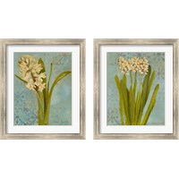 Framed Hyacinth on Teal  2 Piece Framed Art Print Set