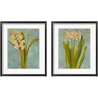 Framed Hyacinth on Teal  2 Piece Framed Art Print Set