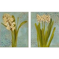 Framed Hyacinth on Teal  2 Piece Art Print Set