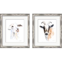 Framed Goat 2 Piece Framed Art Print Set