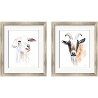 Framed 'Goat 2 Piece Framed Art Print Set' border=