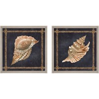 Framed 'Seashell on Navy 2 Piece Framed Art Print Set' border=