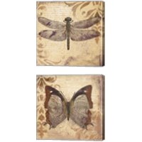 Framed 'Butterfly 2 Piece Canvas Print Set' border=