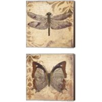 Framed 'Butterfly 2 Piece Canvas Print Set' border=