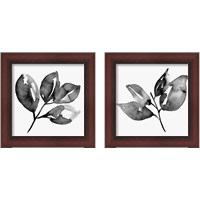 Framed 'Feuille  2 Piece Framed Art Print Set' border=