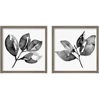 Framed 'Feuille  2 Piece Framed Art Print Set' border=