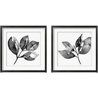 Framed 'Feuille  2 Piece Framed Art Print Set' border=