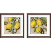 Framed 'With the Sun 2 Piece Framed Art Print Set' border=