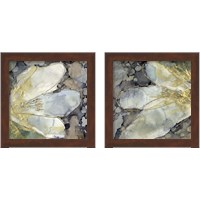 Framed 'Abstracted Lily 2 Piece Framed Art Print Set' border=