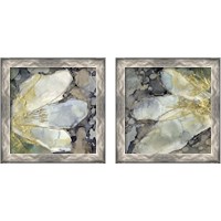 Framed Abstracted Lily 2 Piece Framed Art Print Set