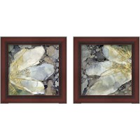 Framed Abstracted Lily 2 Piece Framed Art Print Set