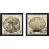 Framed 'Sand Dollar & Scallop Shell 2 Piece Framed Art Print Set' border=