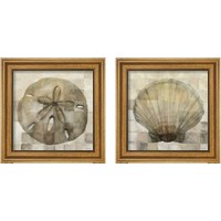 Framed Sand Dollar & Scallop Shell 2 Piece Framed Art Print Set