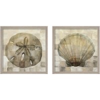 Framed Sand Dollar & Scallop Shell 2 Piece Framed Art Print Set