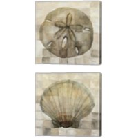 Framed 'Sand Dollar & Scallop Shell 2 Piece Canvas Print Set' border=