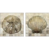 Framed Sand Dollar & Scallop Shell 2 Piece Art Print Set