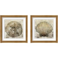 Framed 'Sand Dollar & Scallop Shell 2 Piece Framed Art Print Set' border=