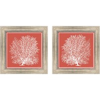 Framed 'Coastal Coral on Red 2 Piece Framed Art Print Set' border=