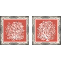 Framed Coastal Coral on Red 2 Piece Framed Art Print Set