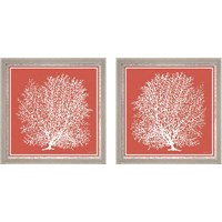 Framed 'Coastal Coral on Red 2 Piece Framed Art Print Set' border=