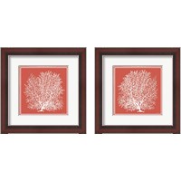 Framed 'Coastal Coral on Red 2 Piece Framed Art Print Set' border=