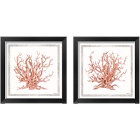 Framed Pink Coastal Coral  2 Piece Framed Art Print Set