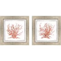 Framed 'Pink Coastal Coral  2 Piece Framed Art Print Set' border=