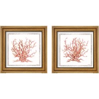 Framed Pink Coastal Coral  2 Piece Framed Art Print Set