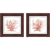 Framed Pink Coastal Coral  2 Piece Framed Art Print Set