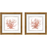 Framed 'Pink Coastal Coral  2 Piece Framed Art Print Set' border=