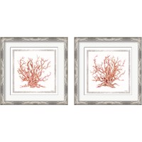 Framed 'Pink Coastal Coral  2 Piece Framed Art Print Set' border=