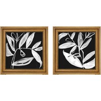 Framed 'Quirky White Leaves 2 Piece Framed Art Print Set' border=