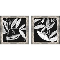 Framed 'Quirky White Leaves 2 Piece Framed Art Print Set' border=