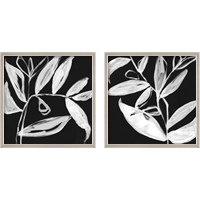Framed 'Quirky White Leaves 2 Piece Framed Art Print Set' border=