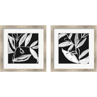 Framed 'Quirky White Leaves 2 Piece Framed Art Print Set' border=