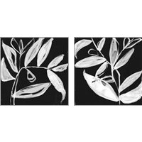 Framed Quirky White Leaves 2 Piece Art Print Set