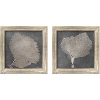 Framed 'Natural Sea Fan 2 Piece Framed Art Print Set' border=