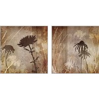 Framed Floral  2 Piece Art Print Set