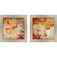 Framed Poppy Heat 2 Piece Framed Art Print Set