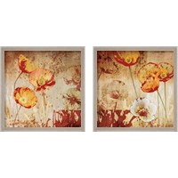 Framed 'Poppy Heat 2 Piece Framed Art Print Set' border=
