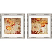 Framed 'Poppy Heat 2 Piece Framed Art Print Set' border=