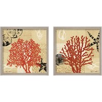 Framed 'Coral Impressions 2 Piece Framed Art Print Set' border=