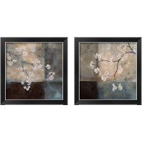 Framed Abstract & Natural Elements 2 Piece Framed Art Print Set