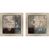 Framed Abstract & Natural Elements 2 Piece Framed Art Print Set