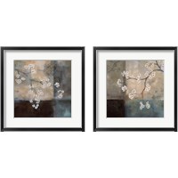 Framed 'Abstract & Natural Elements 2 Piece Framed Art Print Set' border=